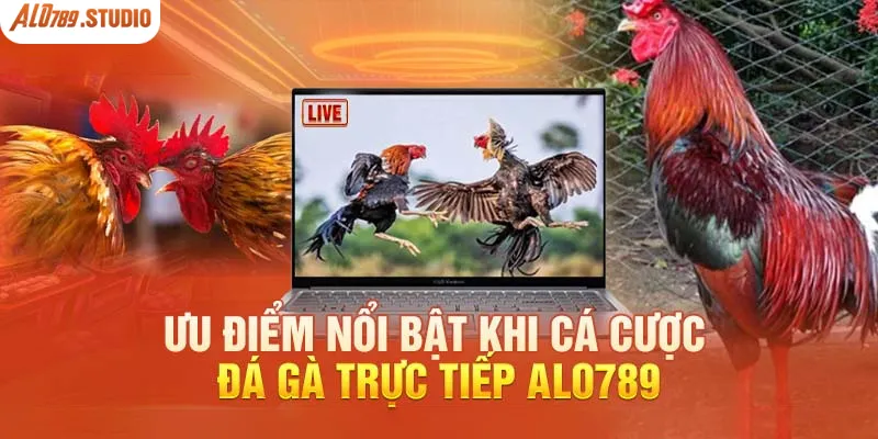 Ưu điểm của sảnh đá gà Alo789