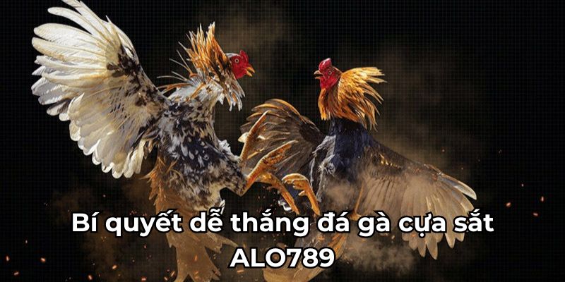 Bí quyết dễ thắng đá gà cựa sắt ALO789