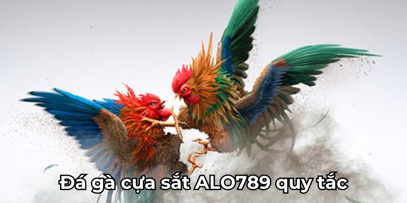 Đá gà cựa sắt ALO789 quy tắc